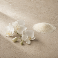 White Orchid
